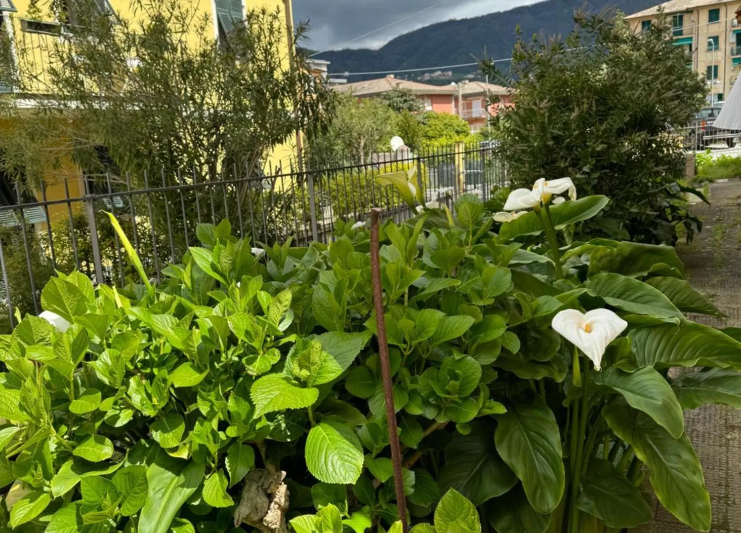 Appartamento Marilyn Levanto 0*,  Italy