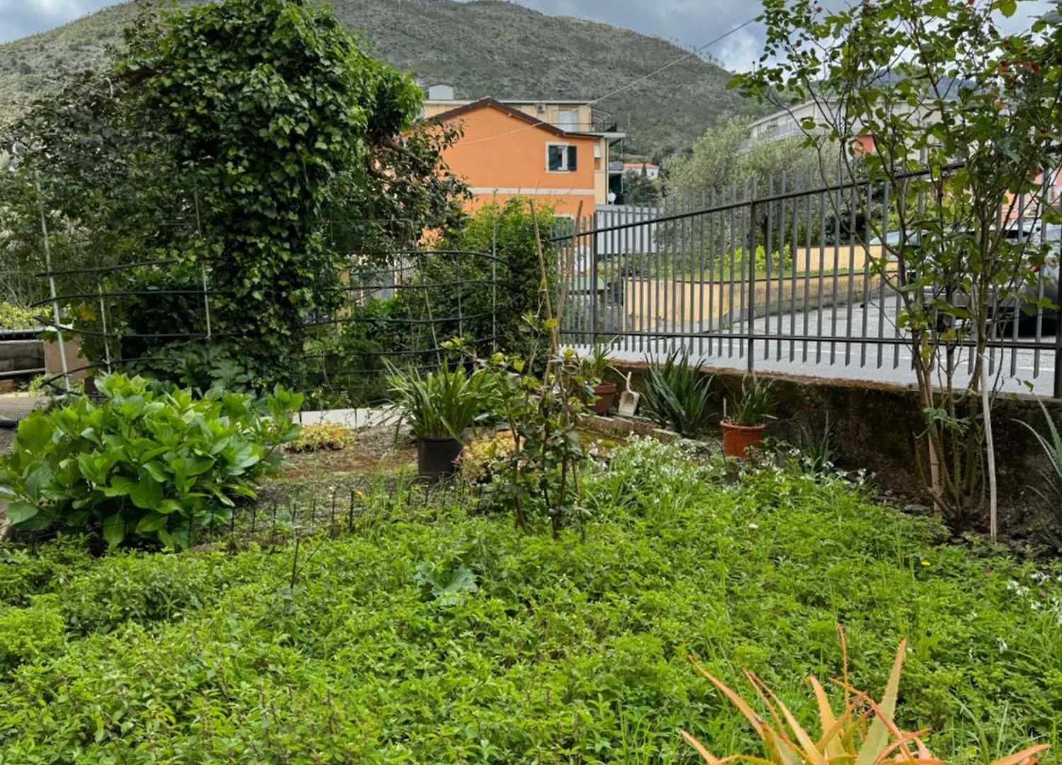Appartamento Marilyn Levanto Italien